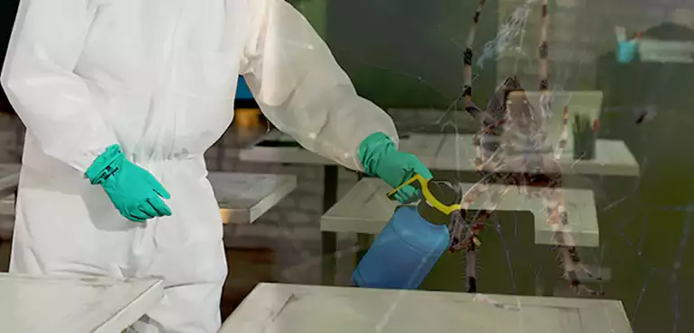 Why Buyers Still Want Homes With Pest Infestations in Richmond, VA?