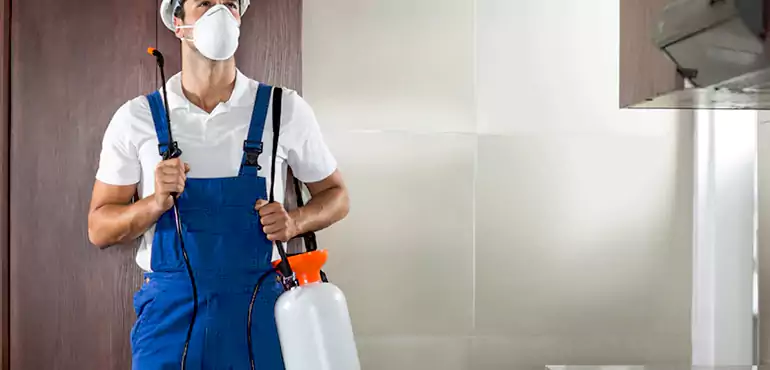 Why Richmond Homeowners Choose Us When Pests Make Selling Difficult
